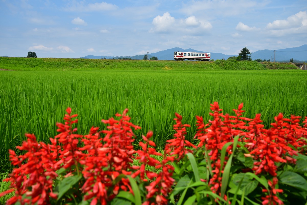 鉄道写真・撮影・秋田内陸縦貫鉄道・内陸線・角館－羽後太田