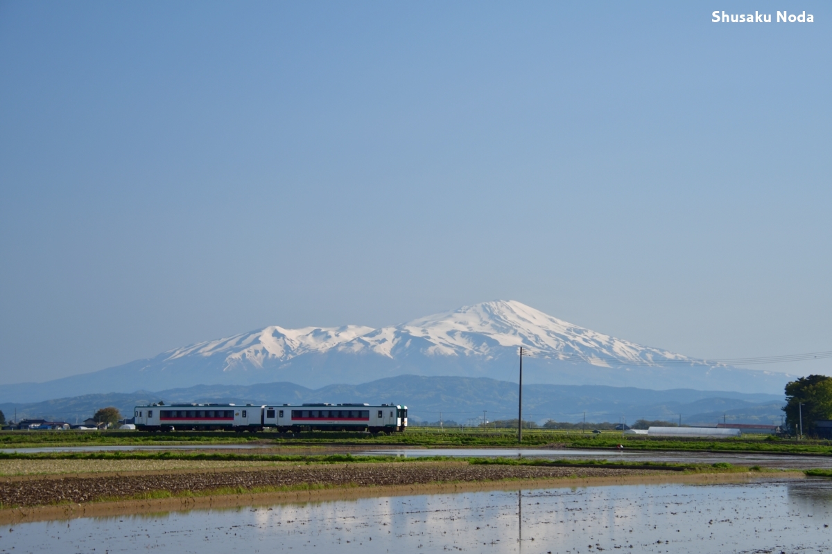 鉄道写真・新緑・撮影地：陸羽西線・南野－余目