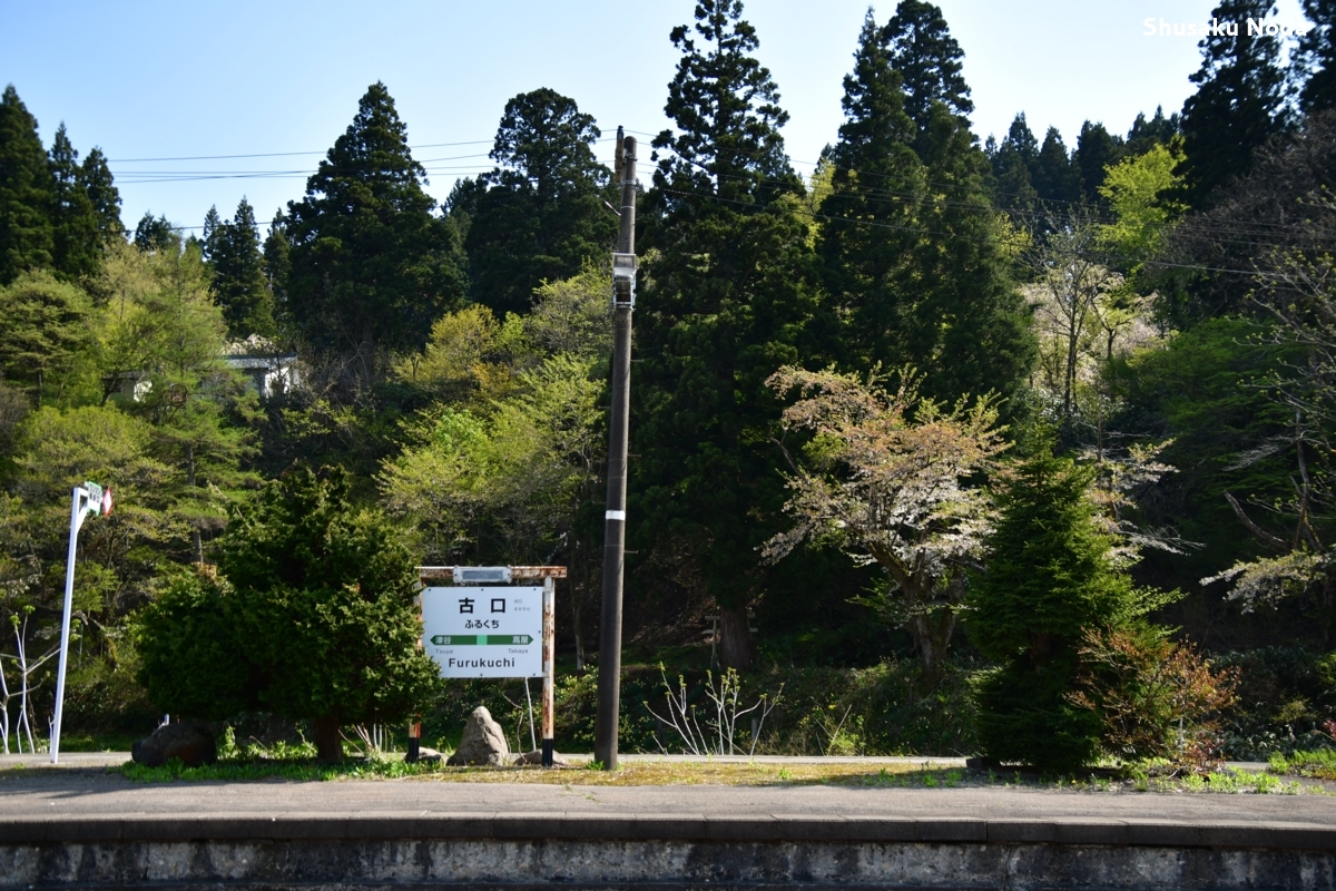 鉄道写真・新緑・撮影地：陸羽西線・古口