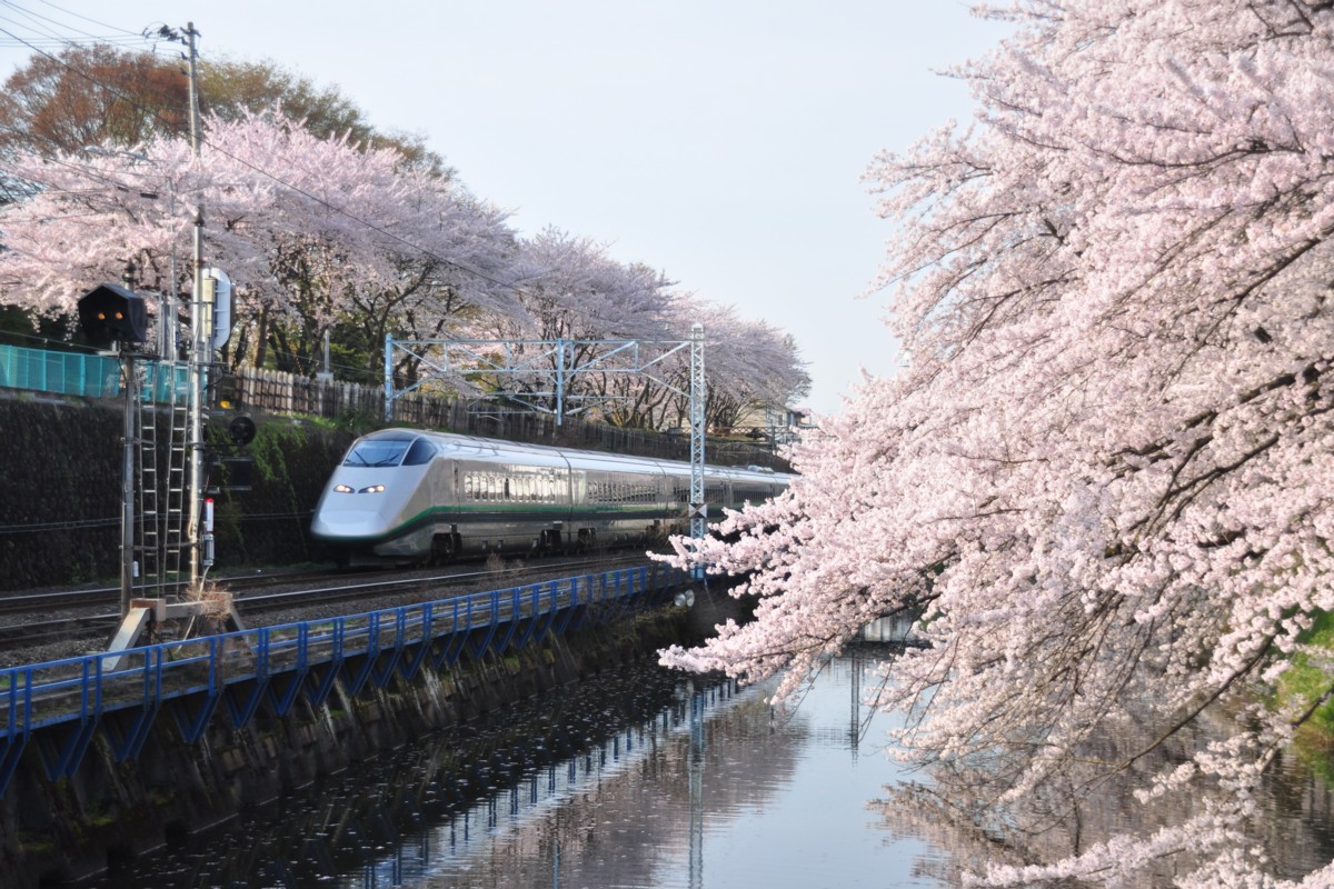 撮影・桜・山形－北山形・山形新幹線