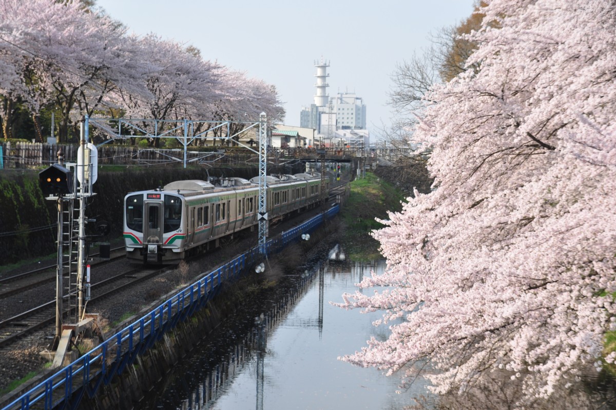 撮影・桜・山形－北山形・仙山線