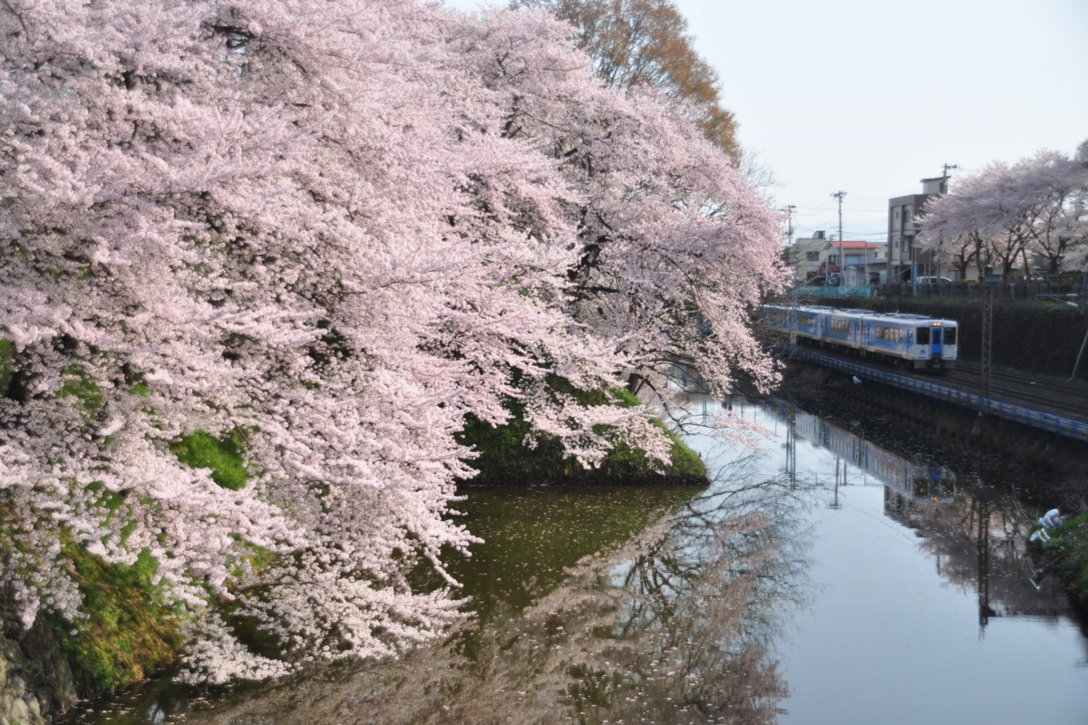 撮影・桜・山形－北山形・左沢線