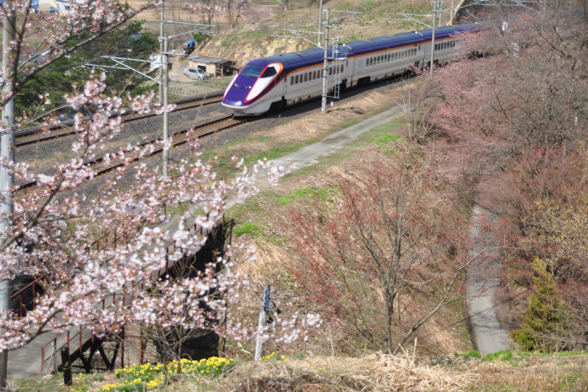 撮影・桜・赤湯－中川・山形新幹線