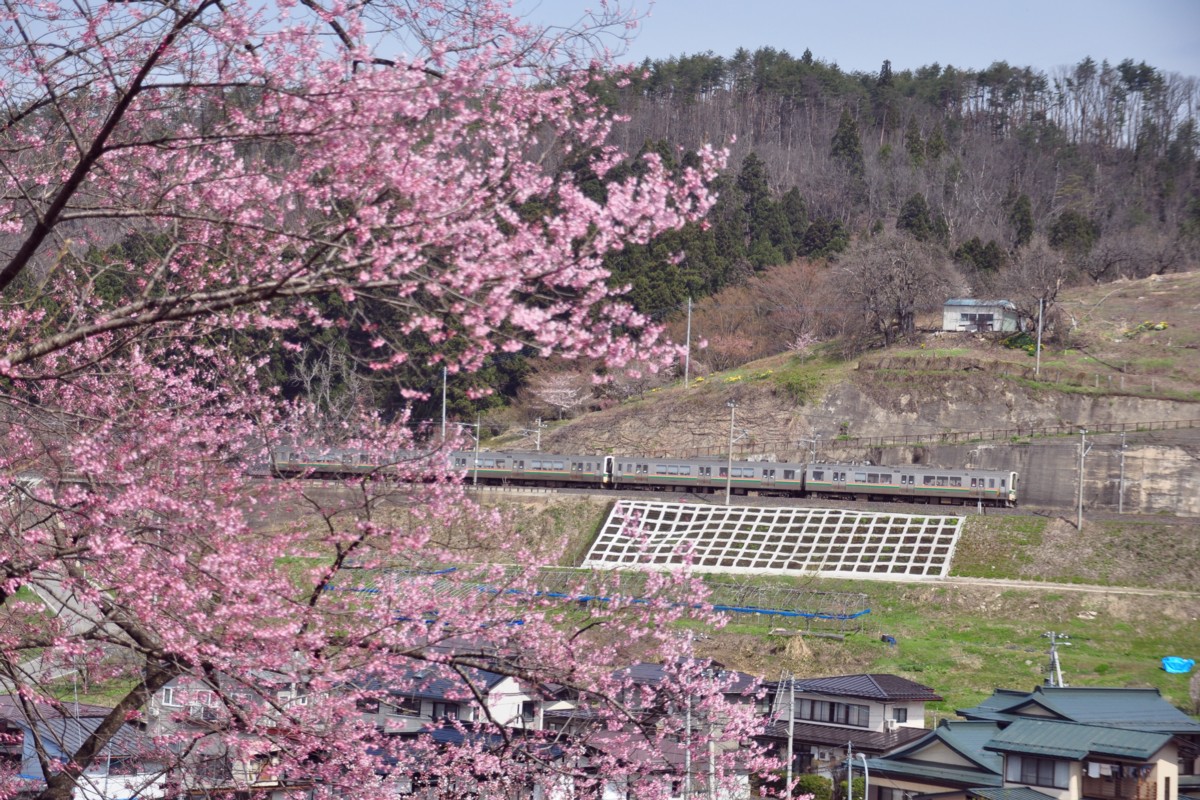 撮影・桜・赤湯－中川・奥羽本線