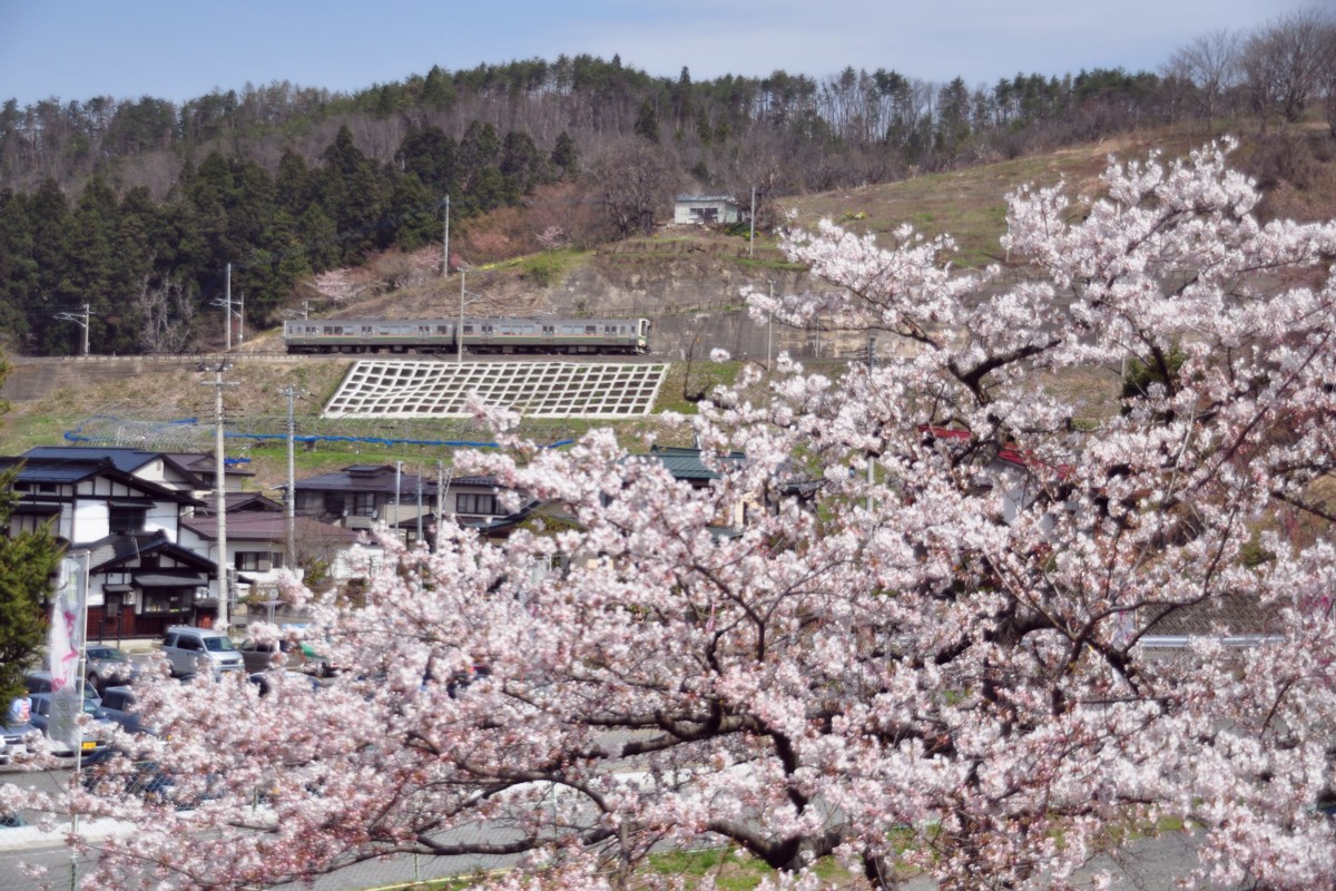 撮影・桜・赤湯－中川・奥羽本線