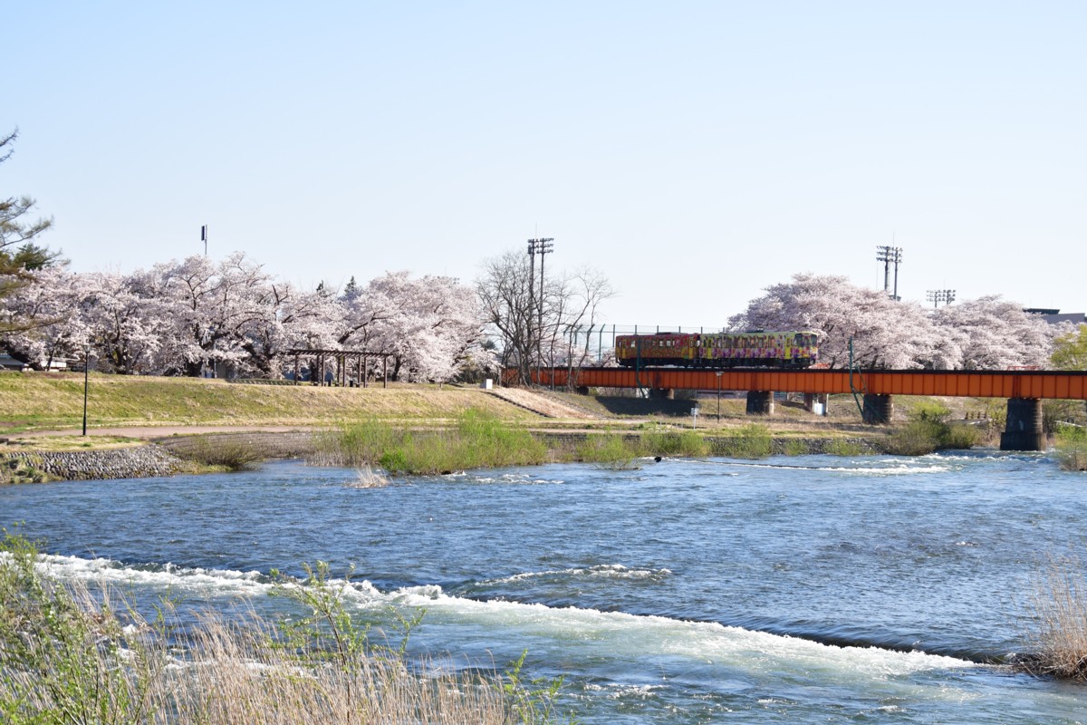 撮影・桜・山形鉄道・あやめ公園－羽前成田