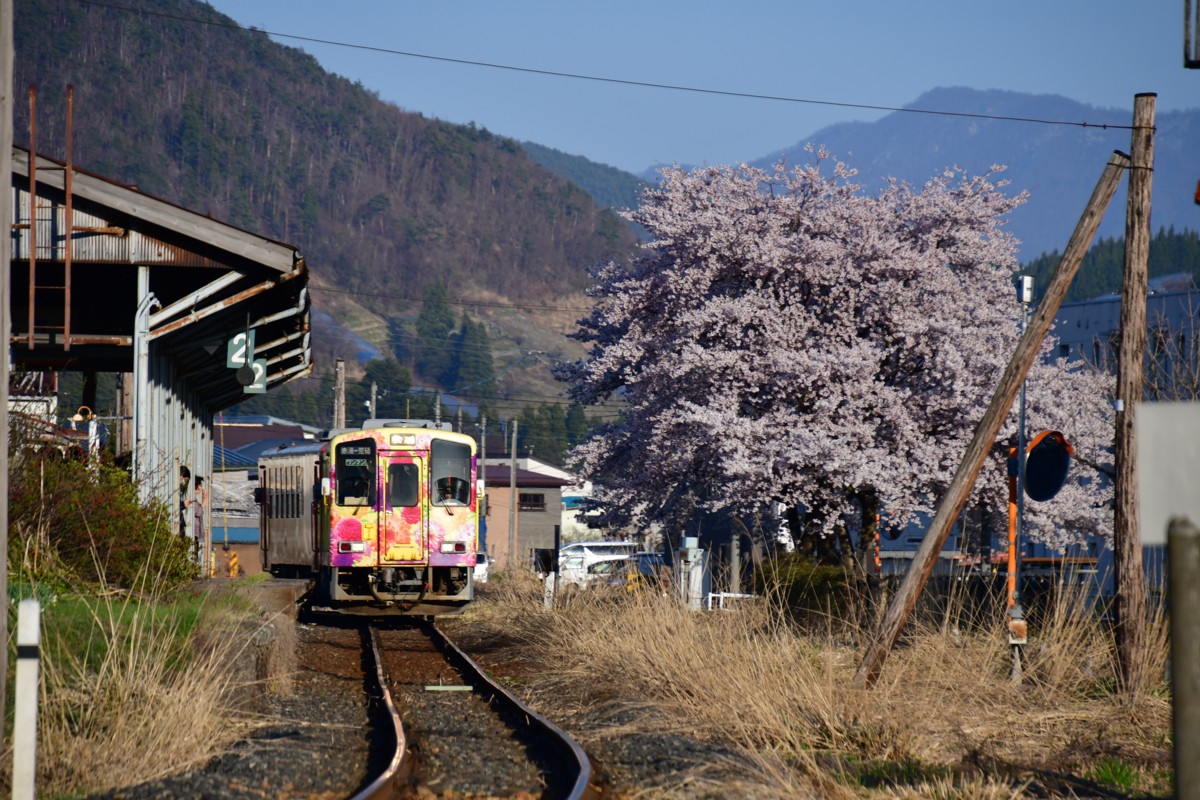 撮影・桜・山形鉄道・宮内
