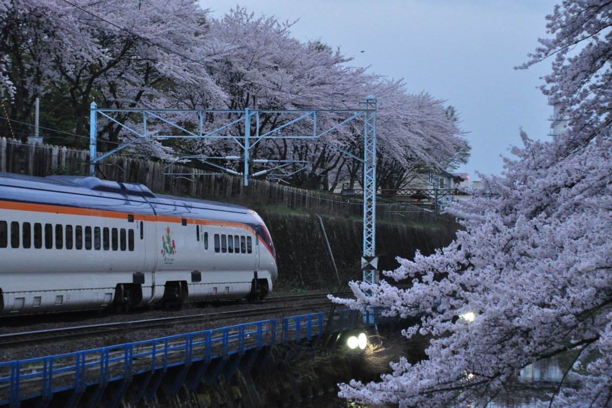 撮影・桜・山形－北山形