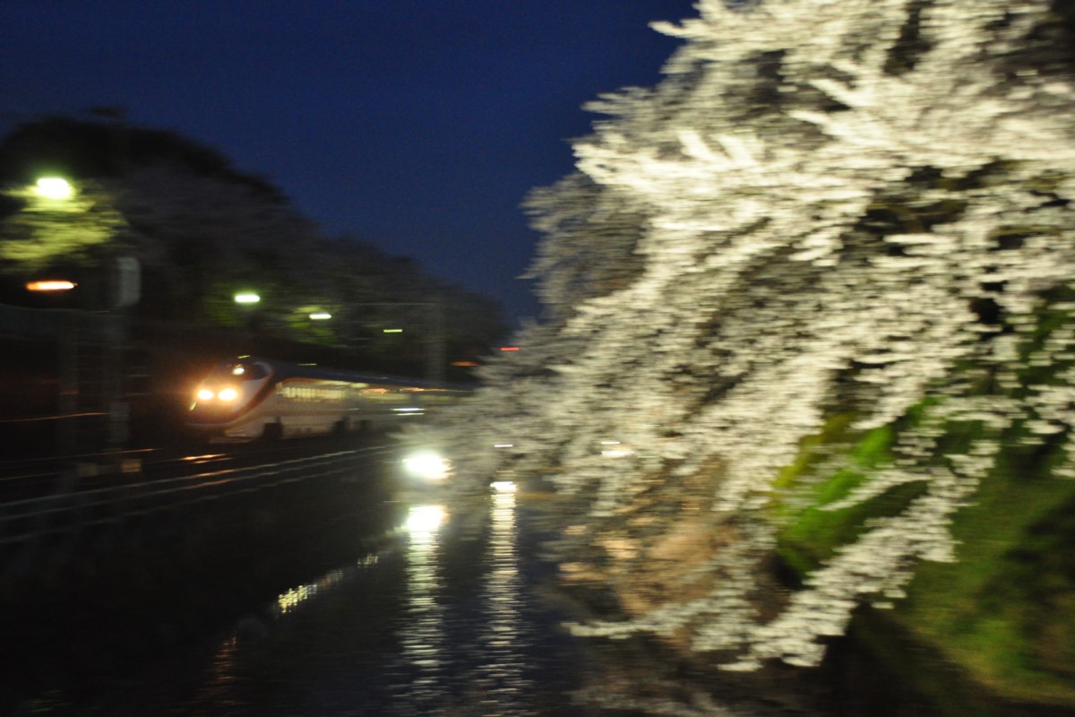 撮影・桜・山形－北山形
