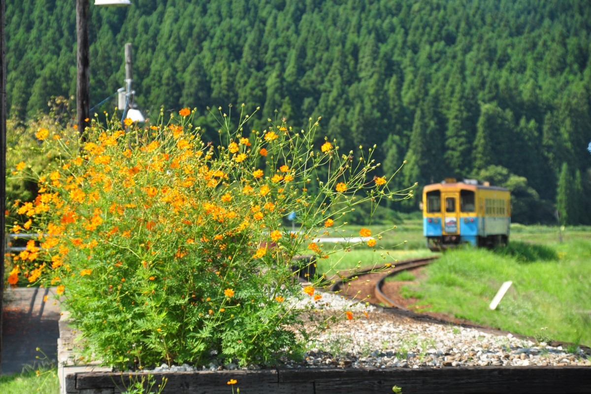 撮影・由利高原鉄道・黒沢