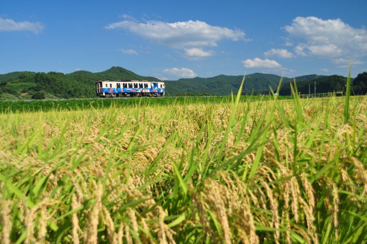 撮影・由利高原鉄道・吉沢