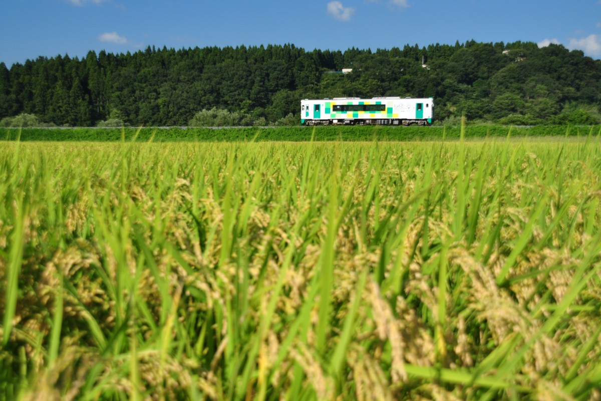 撮影・由利高原鉄道・吉沢