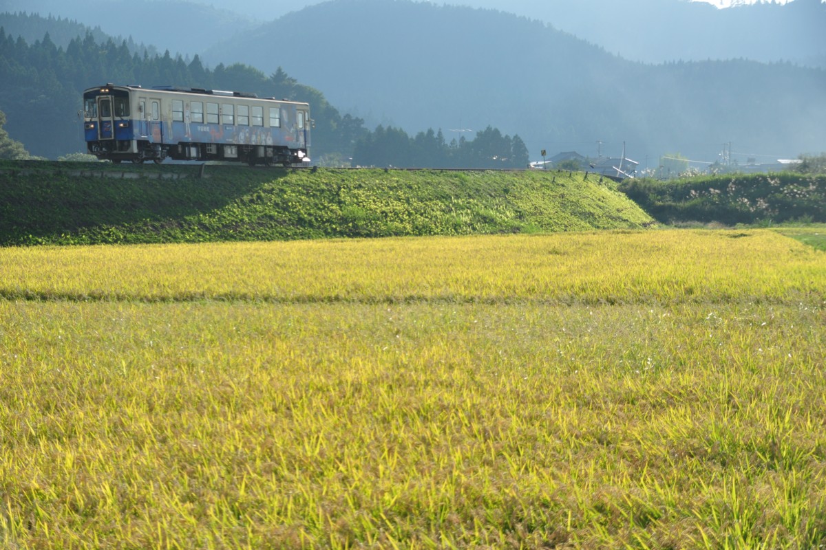 撮影・由利高原鉄道・曲沢