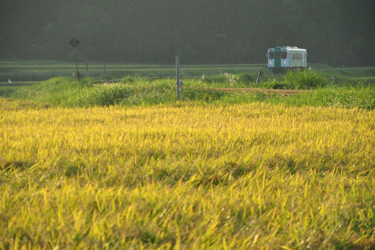 撮影・由利高原鉄道・黒沢