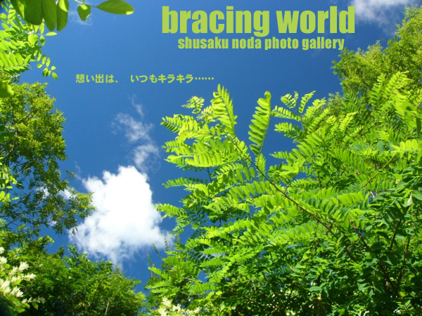 2005年10月の表紙