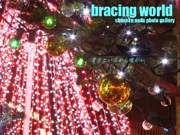 2006年1月の表紙