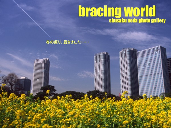 2006年4月の表紙