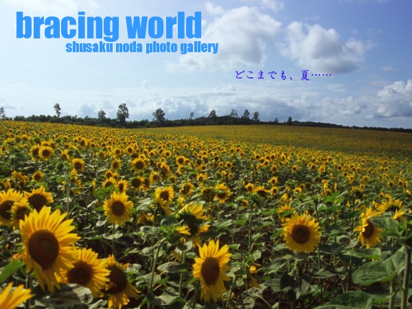 2006年8月の表紙