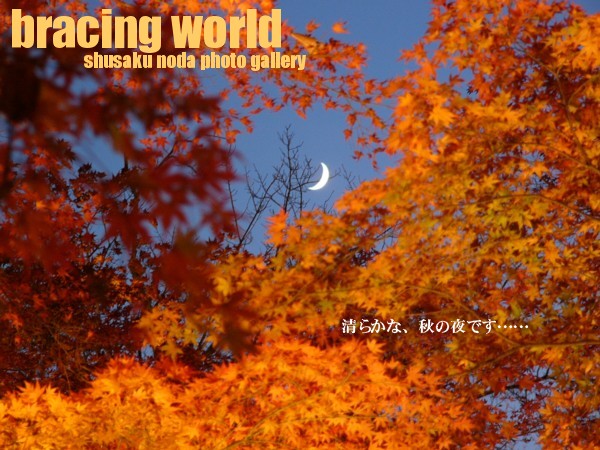 2006年12月の表紙