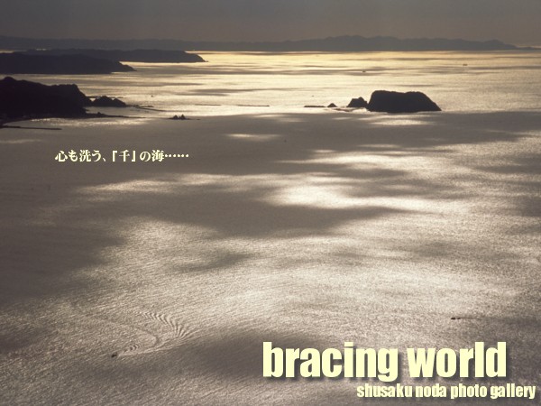 2007年2月の表紙