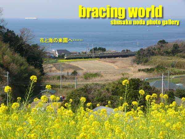 2007年4月の表紙