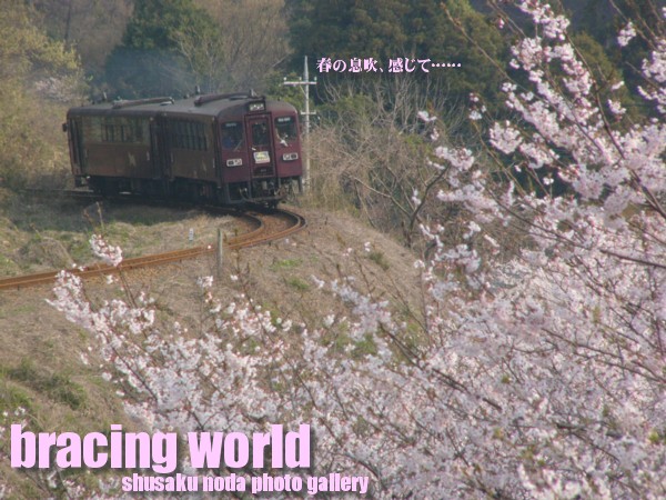 2007年5月の表紙