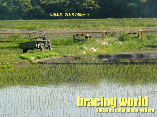 2007年7月の表紙