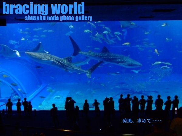 2007年8月の表紙