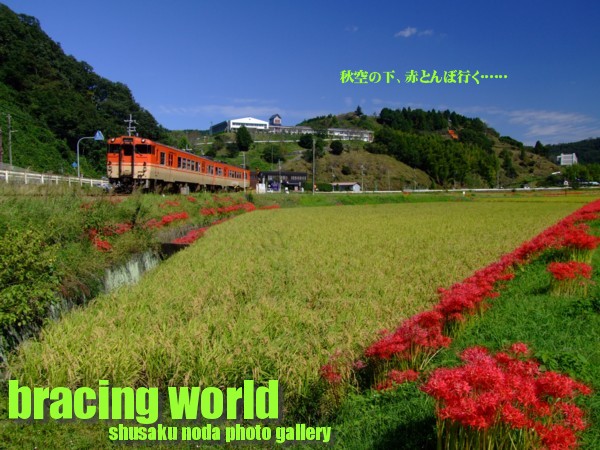 2007年11月の表紙