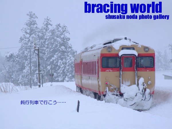 2009年1月の表紙