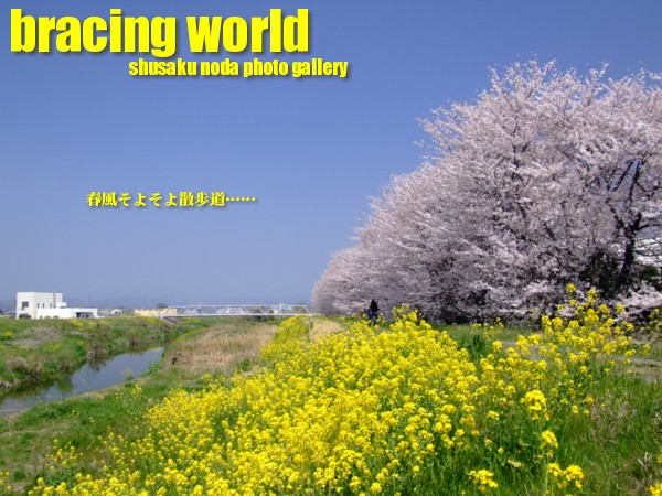 2009年4月の表紙