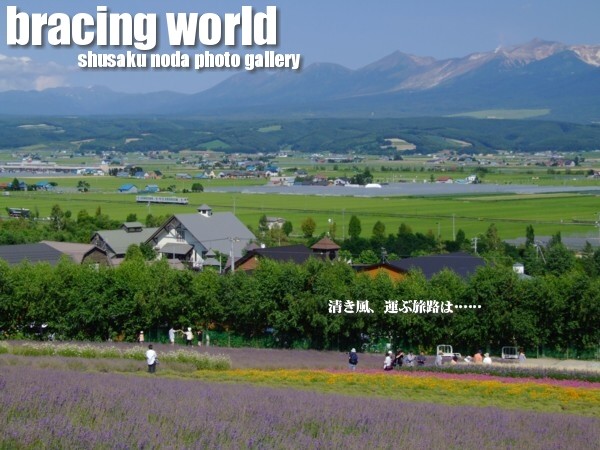 2009年7月の表紙