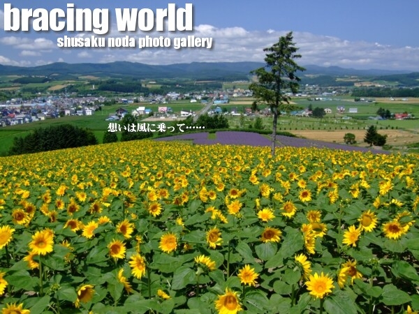 2009年8月の表紙