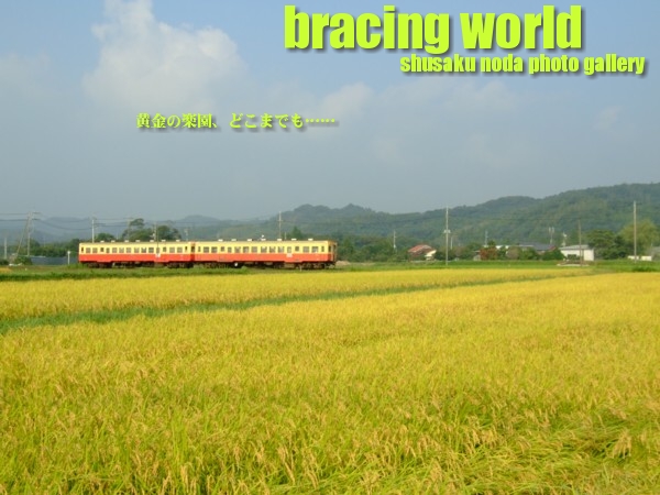 2009年9月の表紙