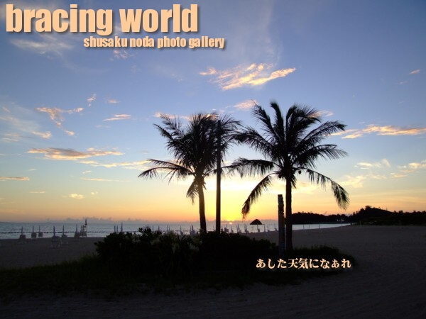 2009年10月の表紙