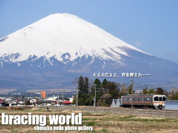 2010年1月の表紙