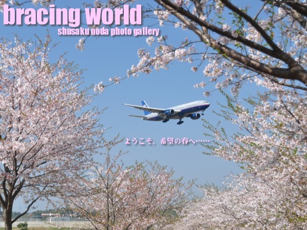 2010年4月の表紙