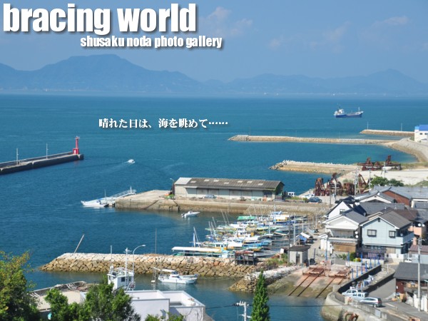 2010年5月の表紙