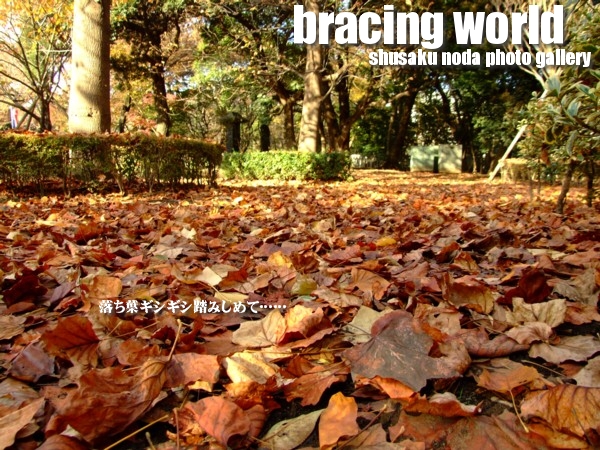 2010年11月の表紙