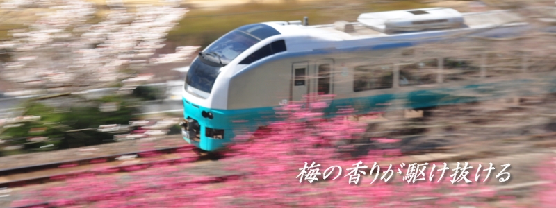 2013年3月の表紙