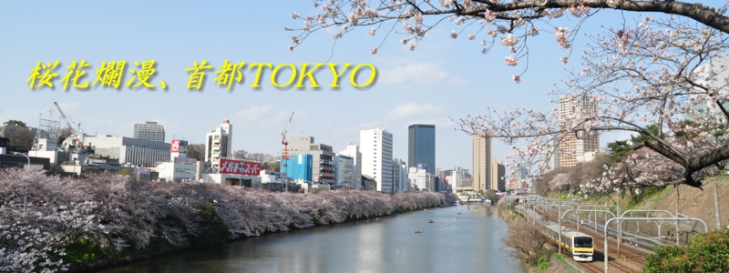 2013年4月の表紙