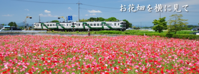 2013年5月の表紙