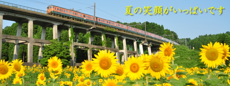 2013年8月の表紙