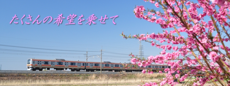 2015年4月の表紙