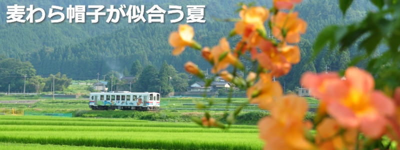 2015年8月の表紙