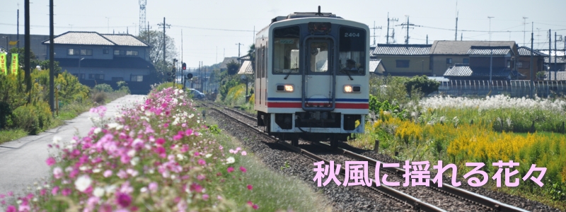 2015年10月の表紙