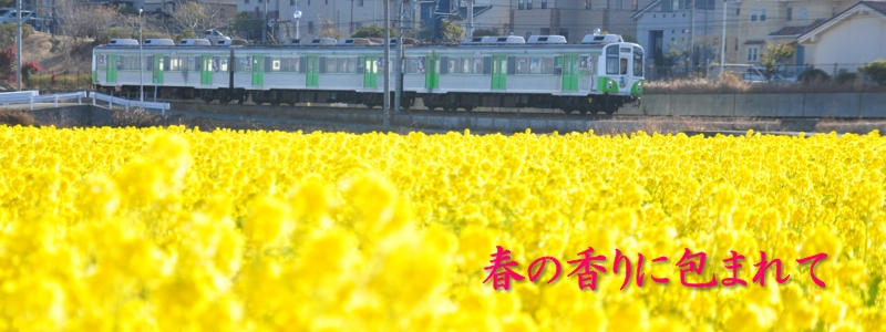 2016年3月の表紙