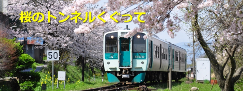 2016年4月の表紙