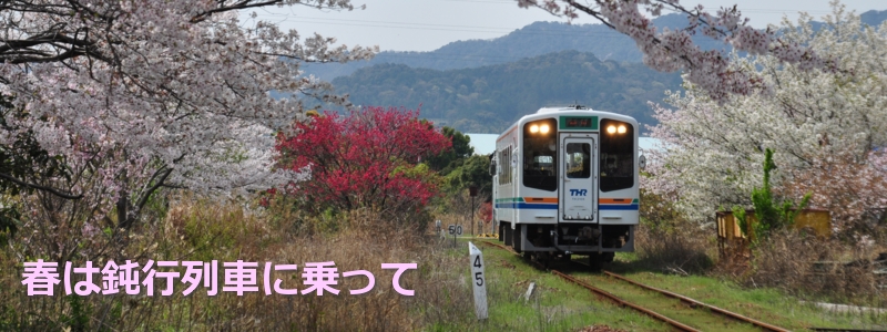 2017年4月の表紙