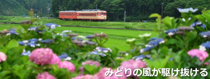 2017年6月の表紙